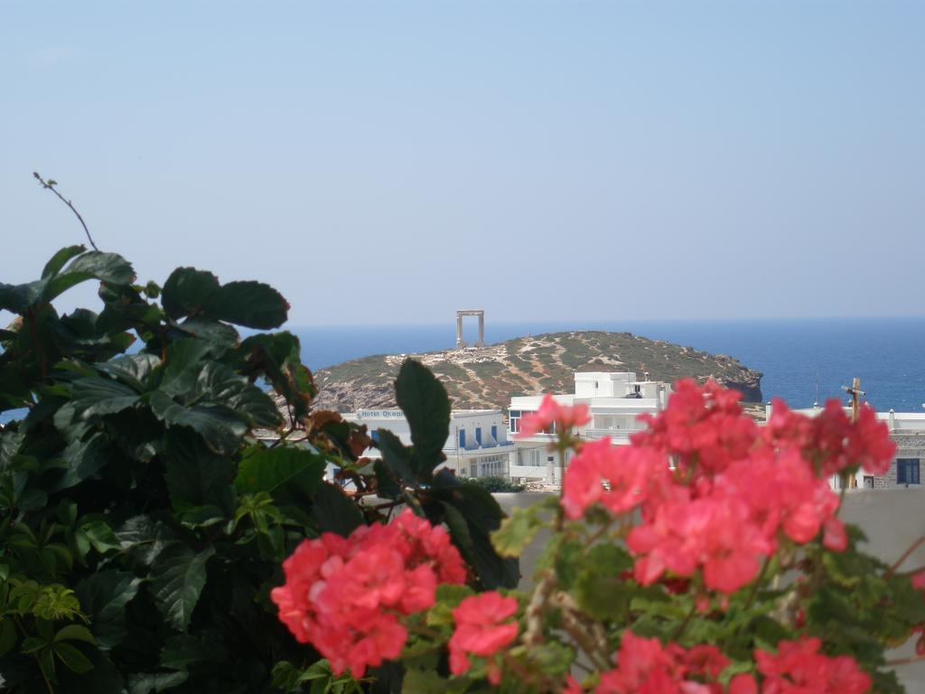 Chateau Zevgoli Naxos City ภายนอก รูปภาพ